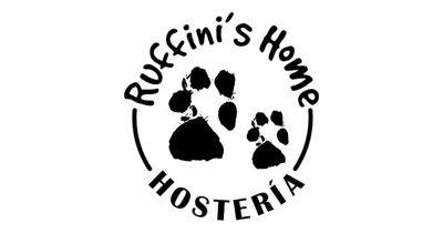 Diseño sin título - 2026-02-16T182059.704